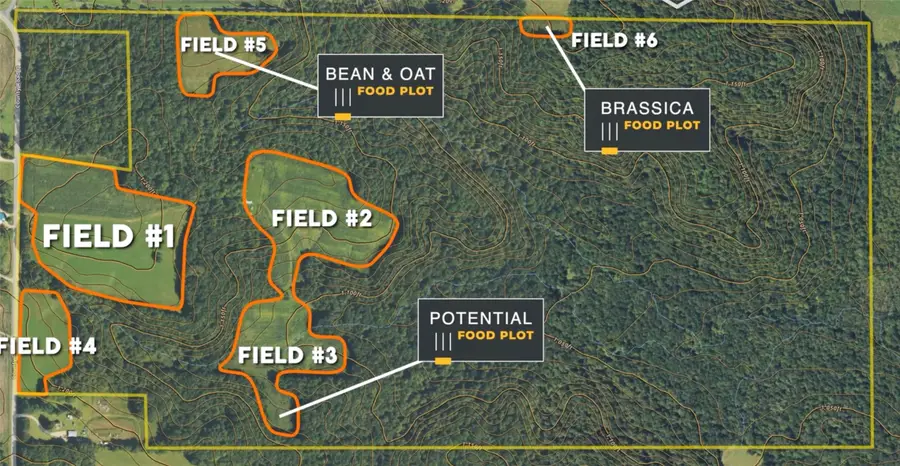 XX County Rd Q, Downing, WI 54734 - #3