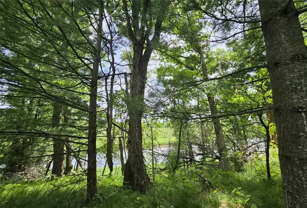 Lot 2 Gaslyn Road, Webster, WI 54893
