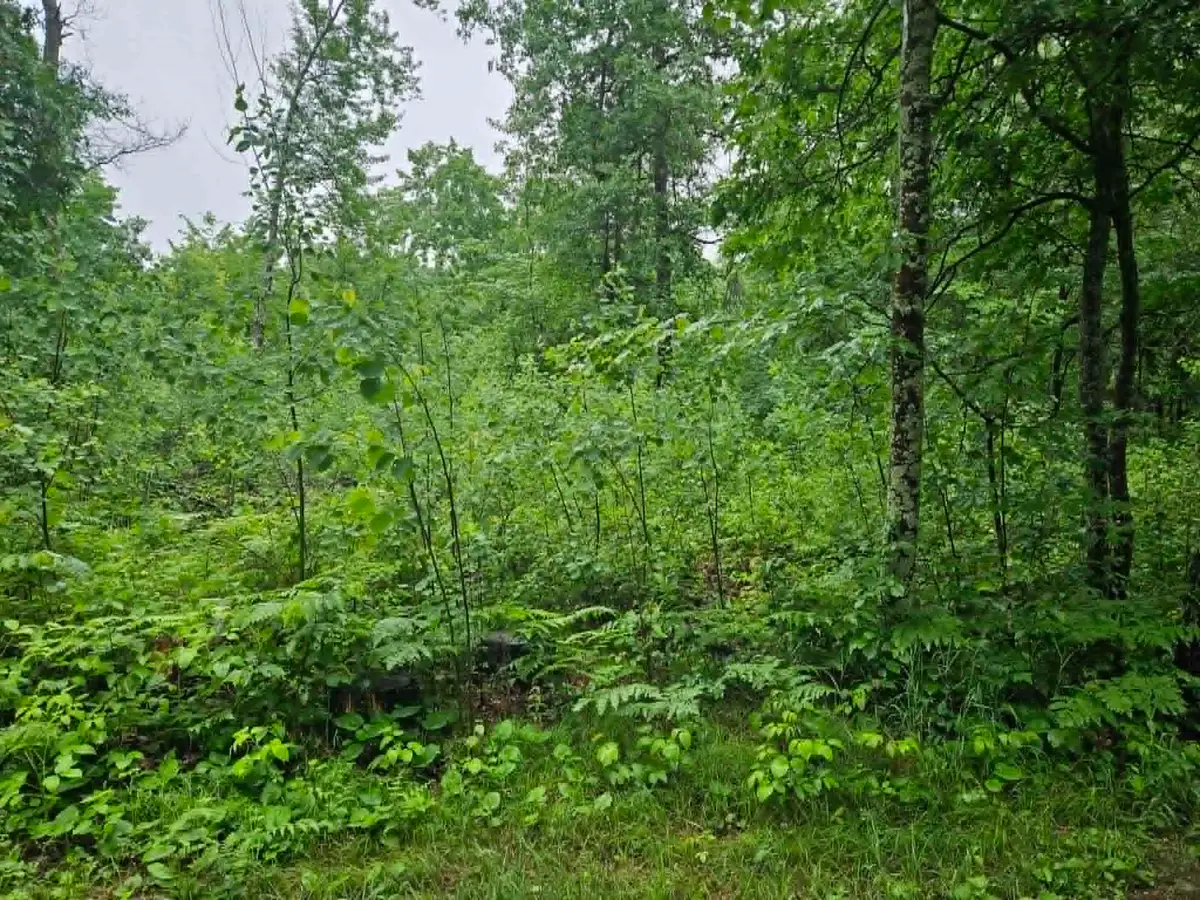 Lot 1 Hilly Ln, Spooner, WI 54801 - #1