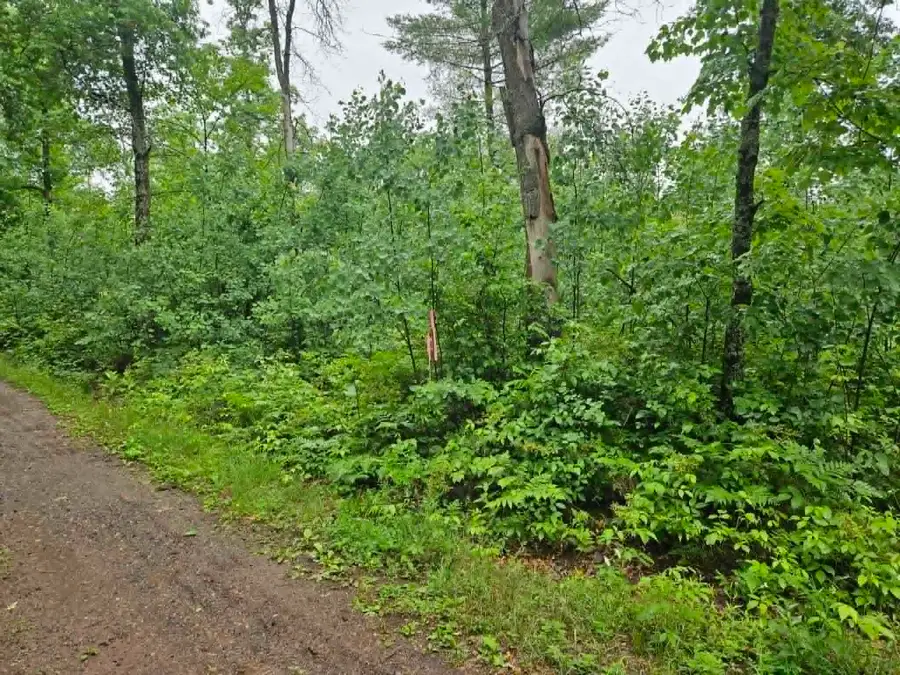 Lot 2 Hilly Ln, Spooner, WI 54801 - #3