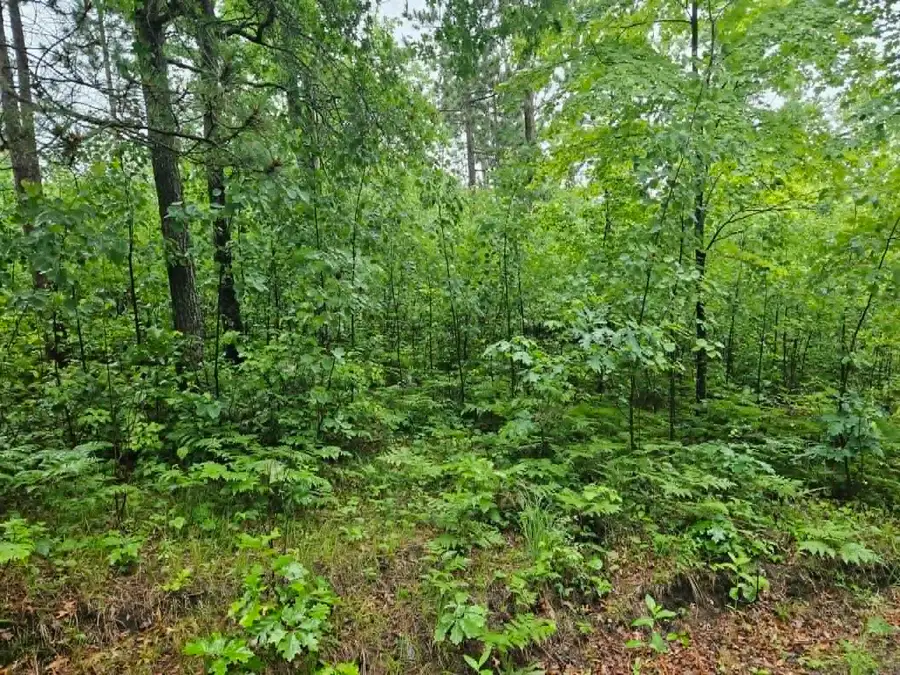 Lot 3 Hilly Ln, Spooner, WI 54801 - #2