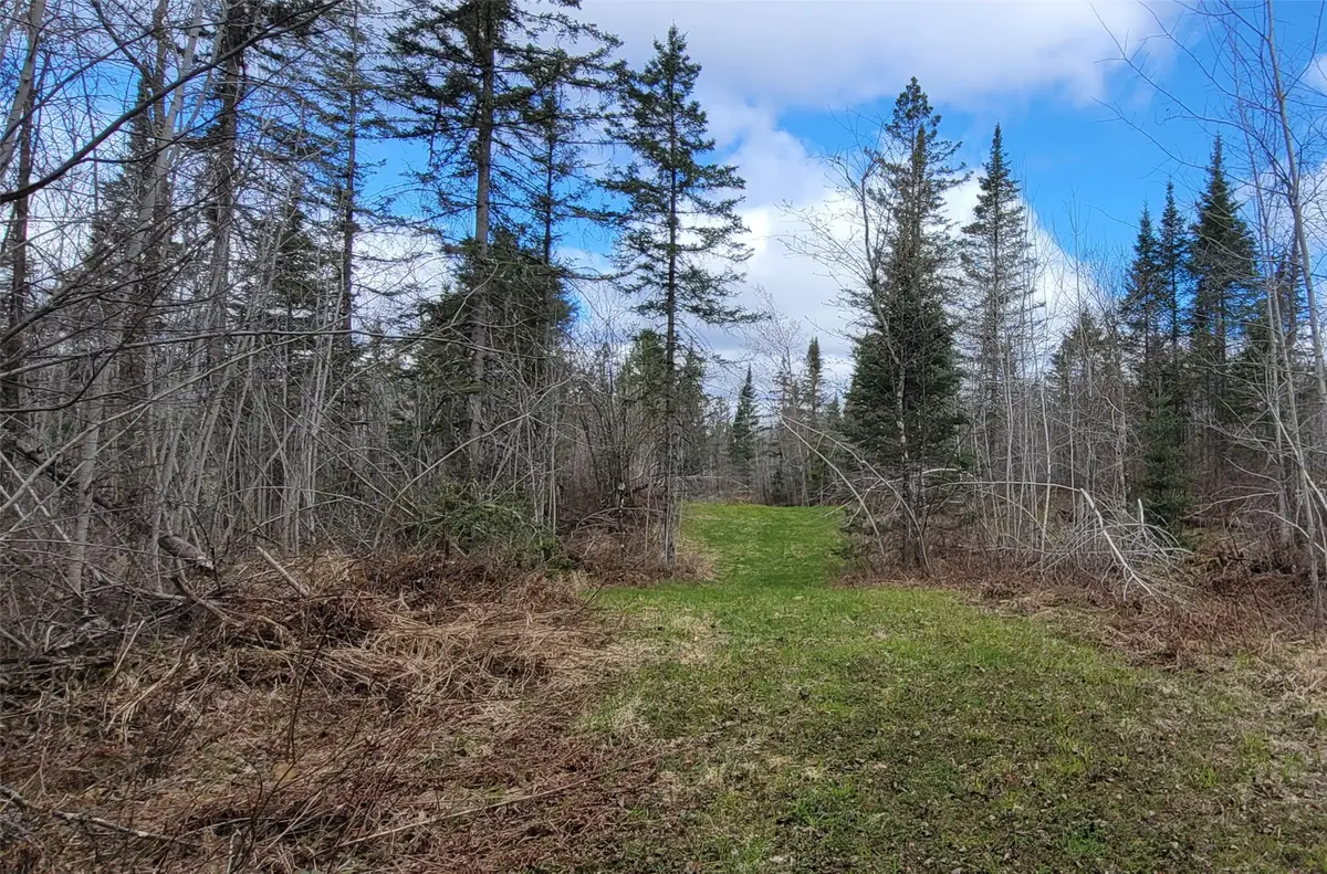 11553N County Hwy A, Hayward, WI 54843 - #1