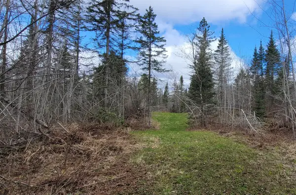 11553N County Hwy A, Hayward, WI 54843