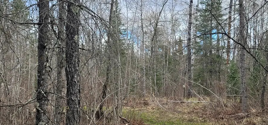 11553N County Hwy A, Hayward, WI 54843 - #2