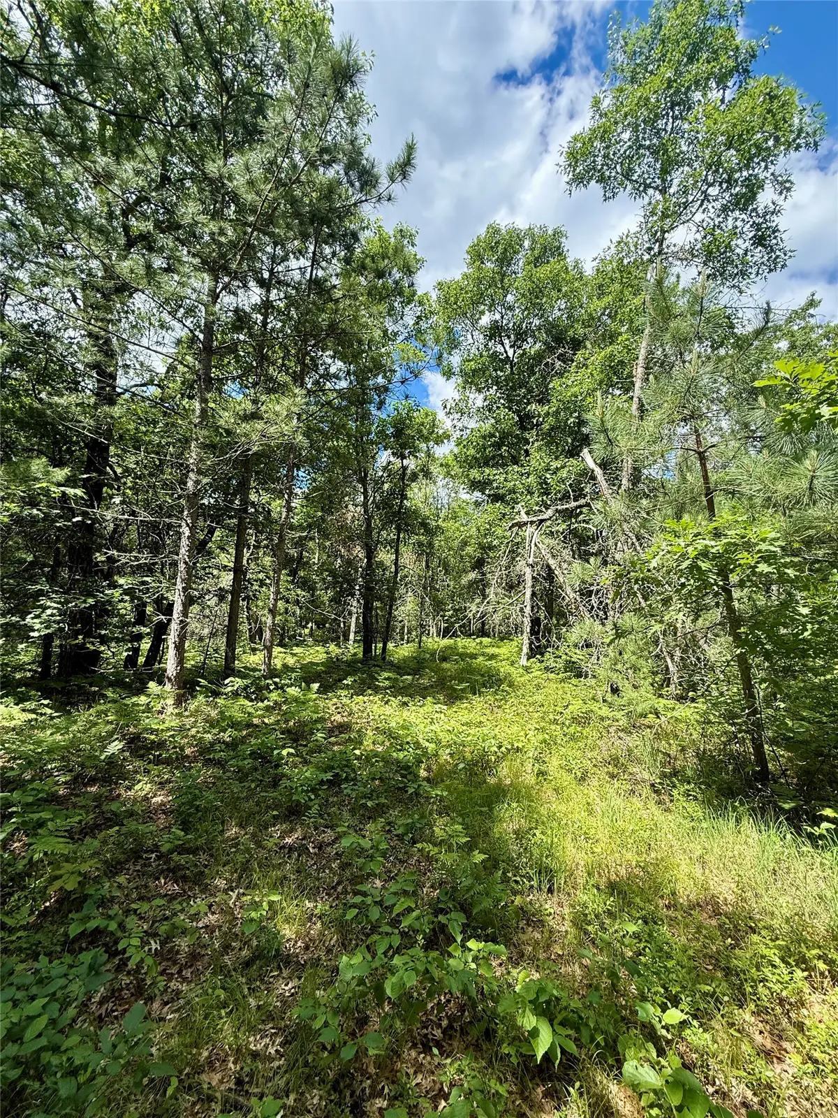 0 St Croix Trail, Minong, WI 54859 - #1