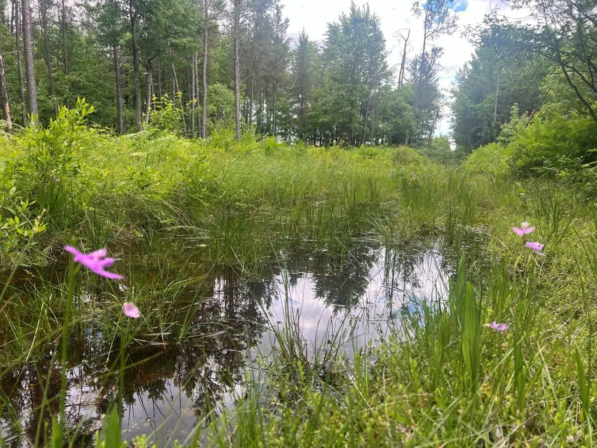 0 Old Highway 54, Pittsville, WI 54466 - #1