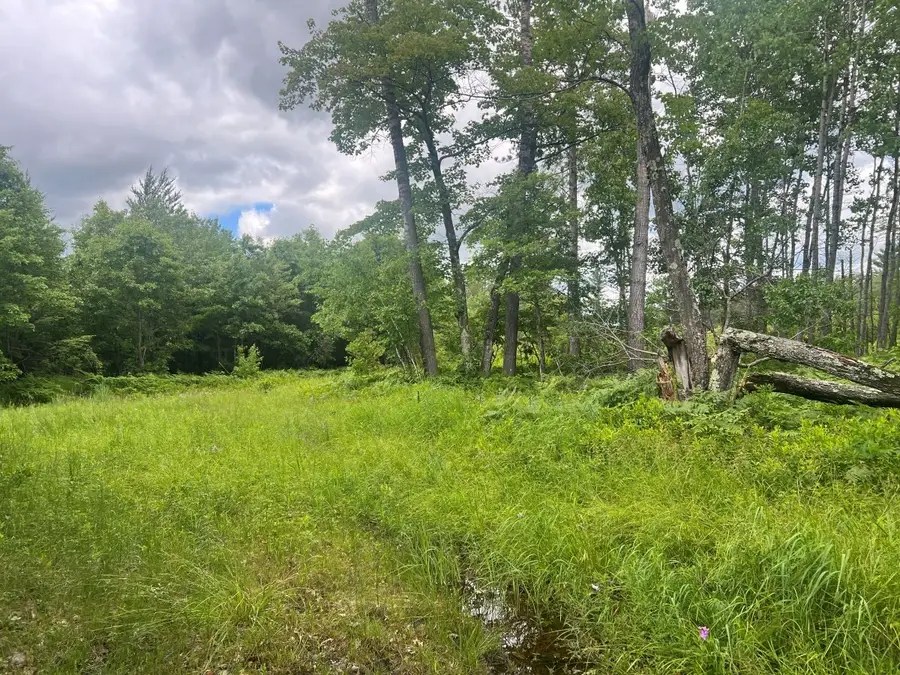 0 Old Highway 54, Pittsville, WI 54466 - #2