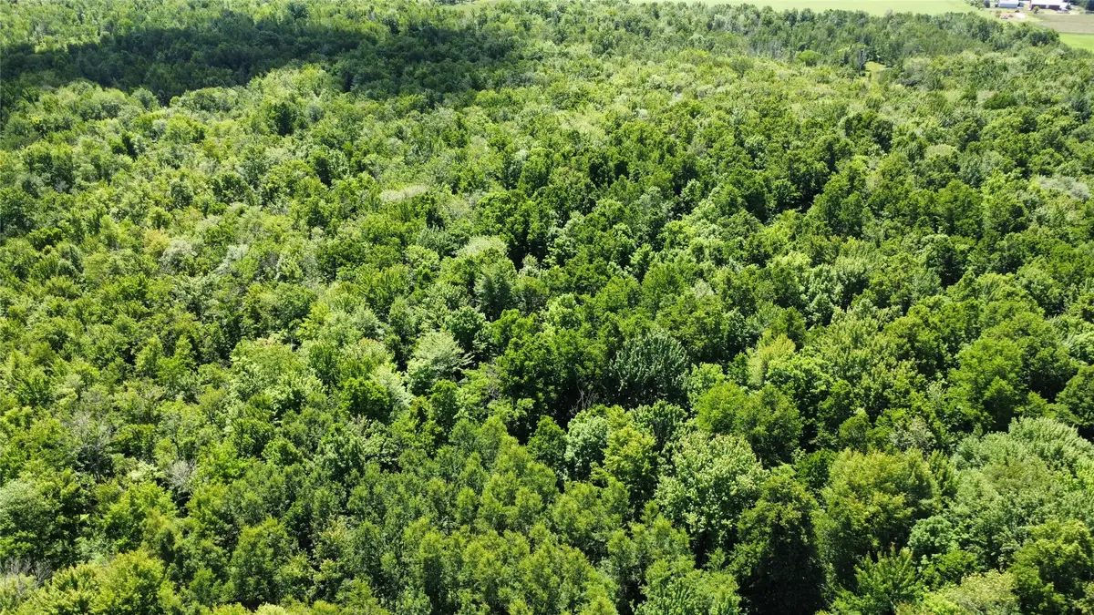 OOO Snowshoe Rd., Wausau, WI 54403 - #1