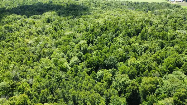 OOO Snowshoe Rd., Wausau, WI 54403