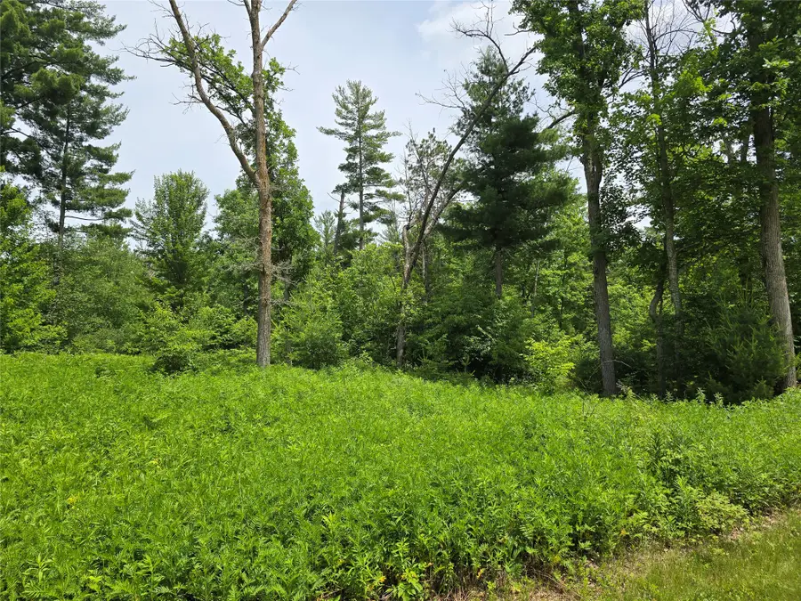 00 23 1/2 Street, Cameron, WI 54822 - #3
