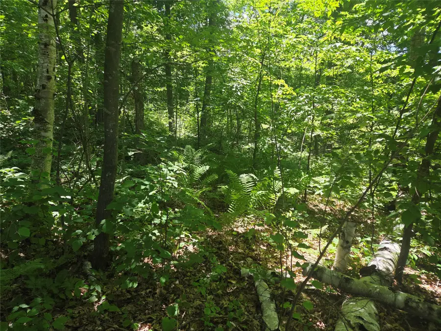 TBD County Road G, Comstock, WI 54826 - #2