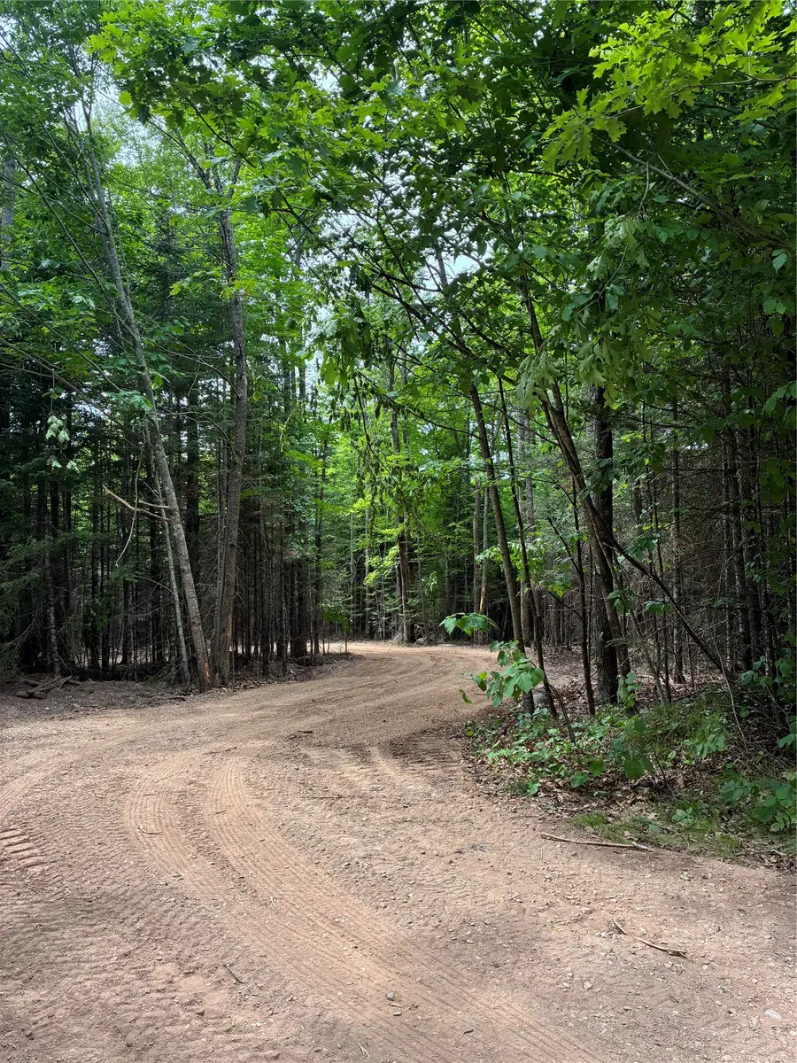 Lot 5 Uncle Toms Road, Loretta, WI 54896 - #2