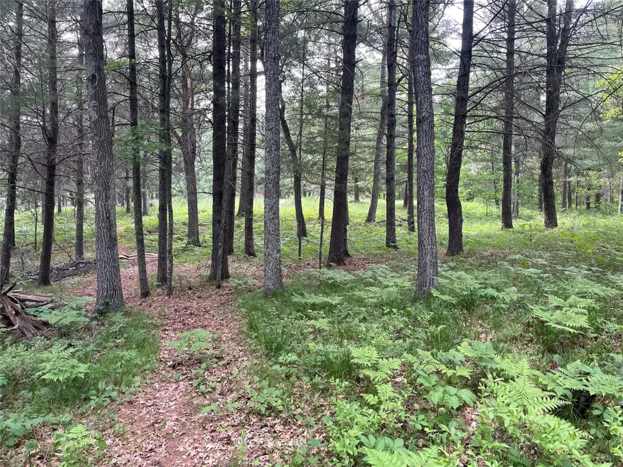 Lot 4 Big Bear Court, Danbury, WI 54830 - #2