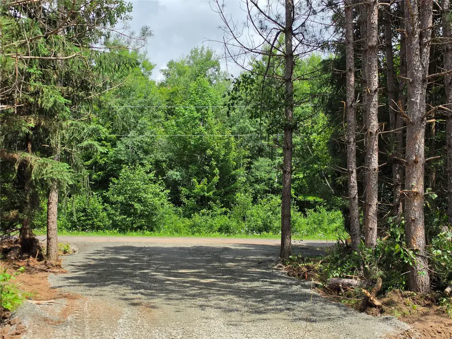 20 Acres Adams Road, Bruce, WI 54819 - #2