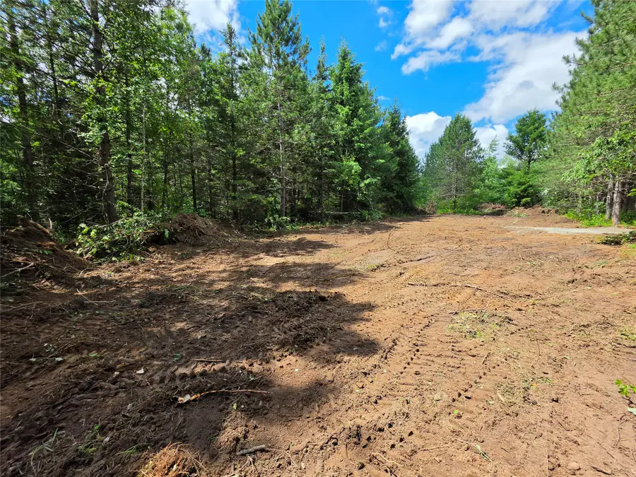 20 Acres Adams Road, Bruce, WI 54819 - #3