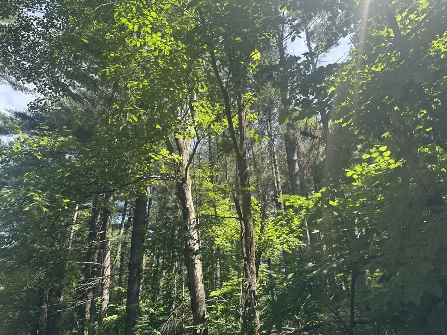 Lot 1 Becker Road, Elk Mound, WI 54739 - #3