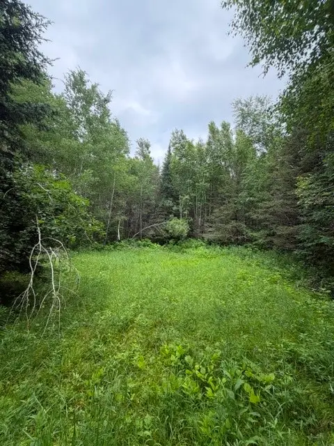 20 Acres N 5th Avenue, Trego, WI 54888 - #1