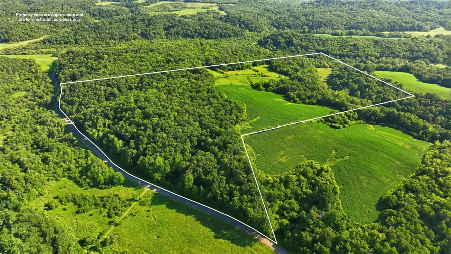 N44681 Hawkenson Valley Road, Eleva, WI 54738 - #2
