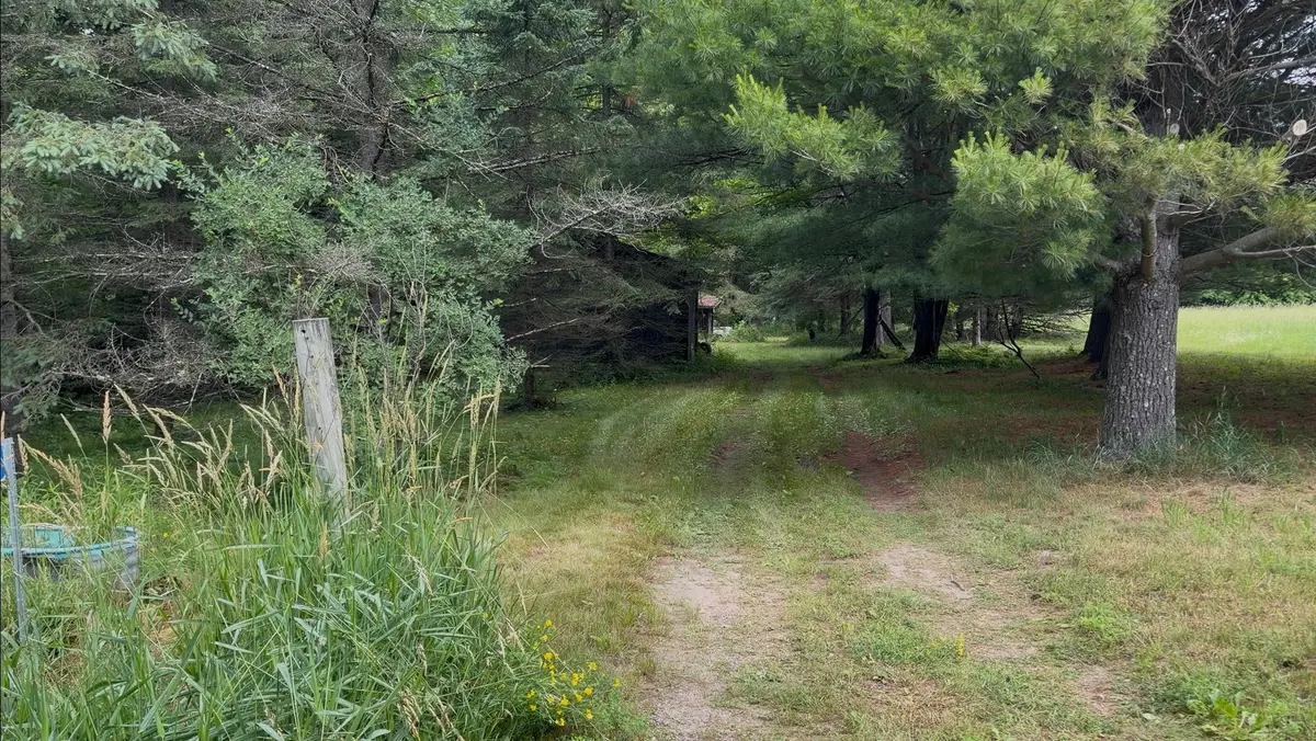 W9978 153rd Road, Thorp, WI 54771 - #1