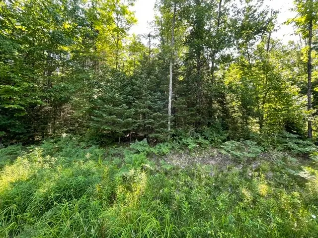 12552N County Hwy T, Hayward, WI 54843 - #1