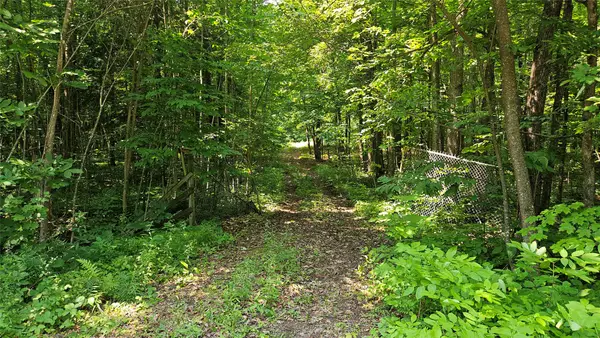 4687 N Valesh Road, Couderay, WI 54828