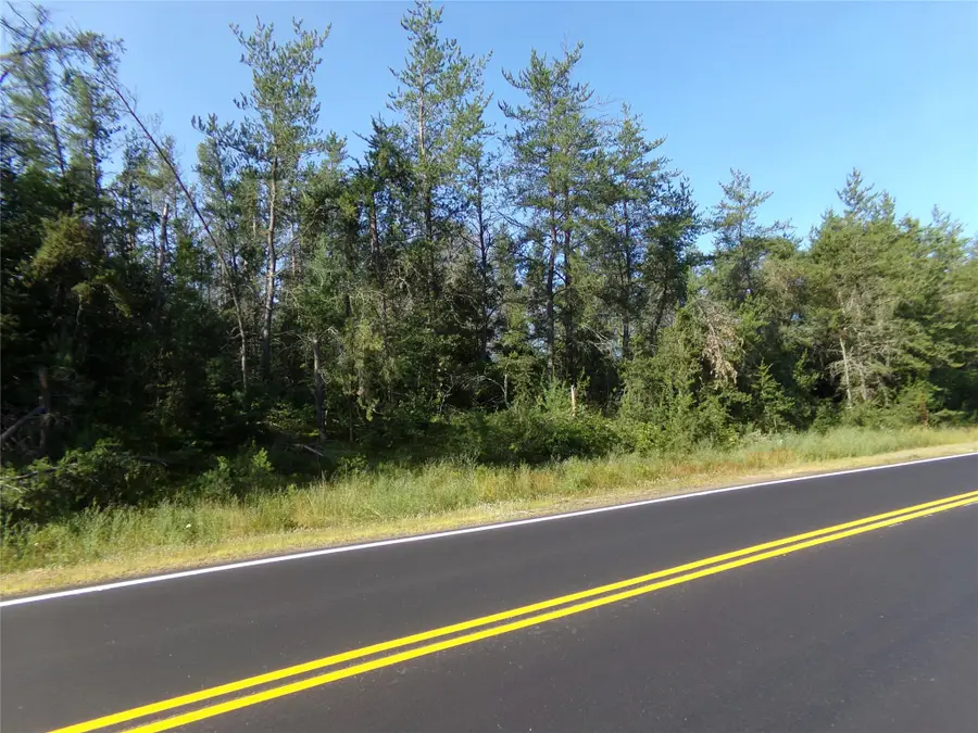 TBD Baldwin Avenue, Solon Springs, WI 54873 - #2