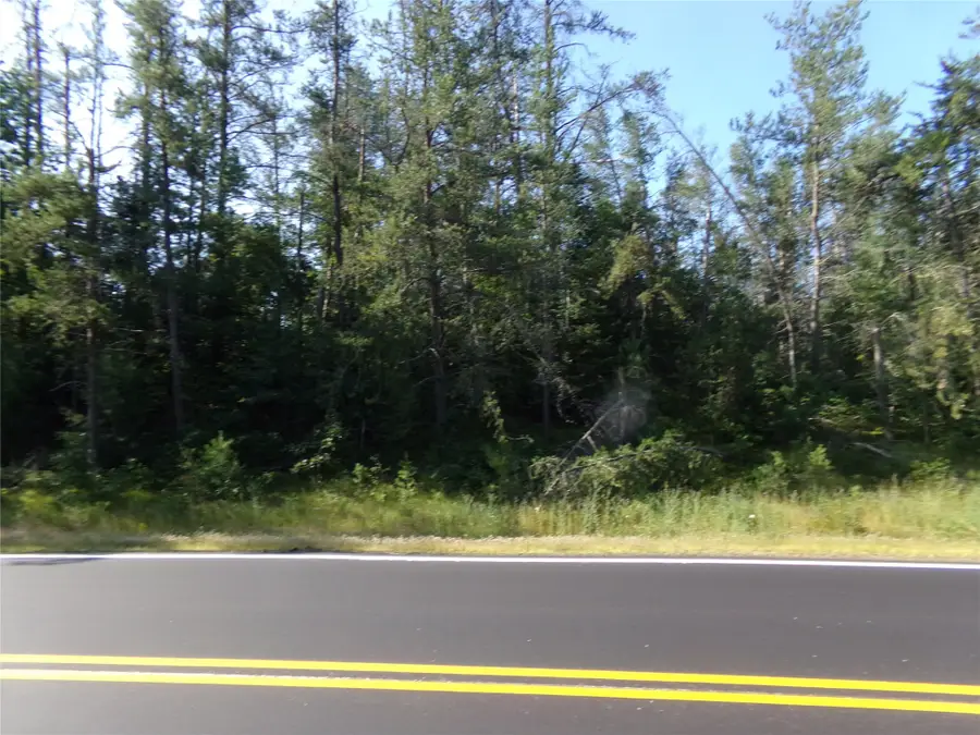TBD Baldwin Avenue, Solon Springs, WI 54873 - #3