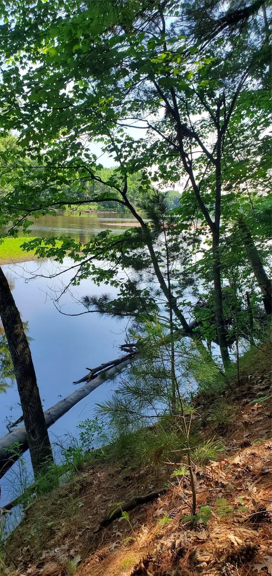 0 Highway D, Holcombe, WI 54745 - #2