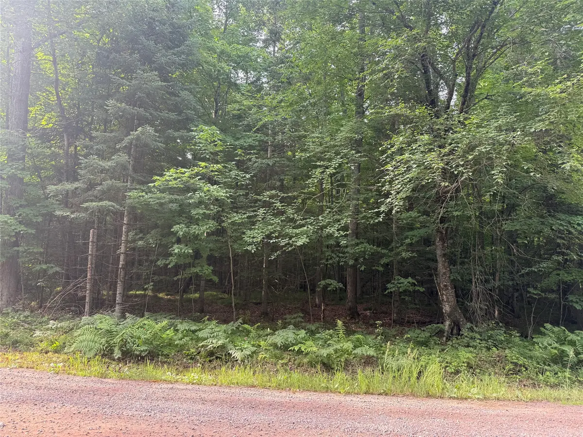 Lot 5 Flambeau Point Road, Ladysmith, WI 54848 - #1