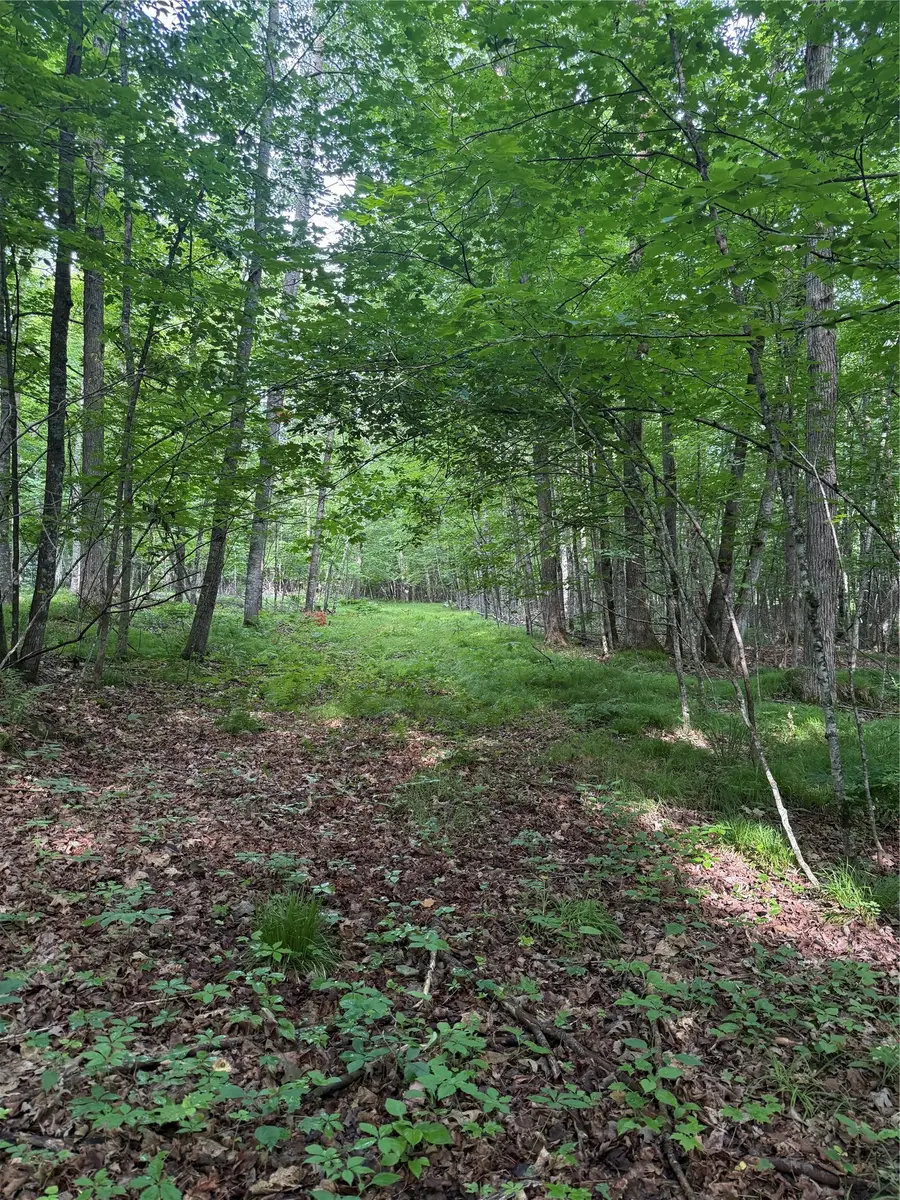 Lot 5 Flambeau Point Road, Ladysmith, WI 54848 - #3