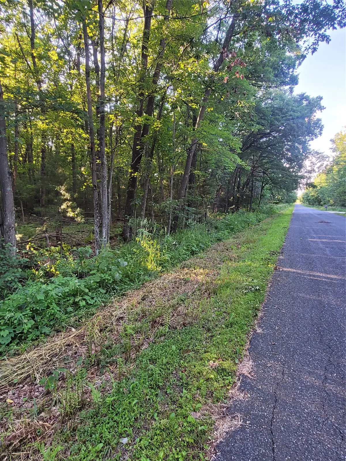 Lot 5 Old Highway 12, Merrillan, WI 54754 - #1