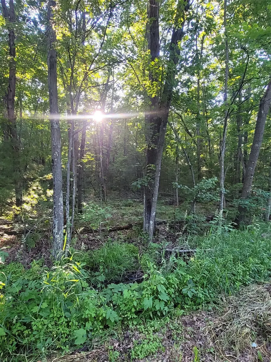 Lot 5 Old Highway 12, Merrillan, WI 54754 - #2