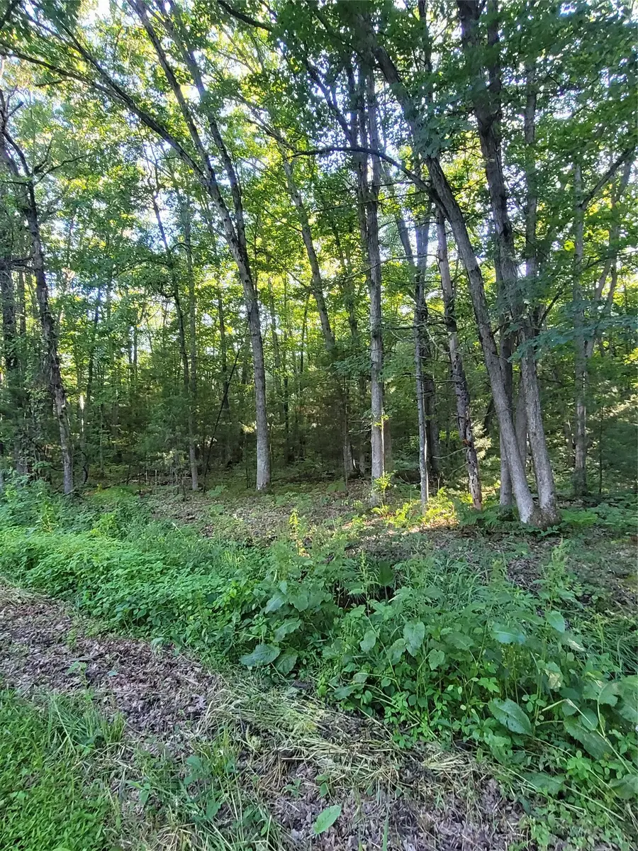 Lot 5 Old Highway 12, Merrillan, WI 54754 - #3