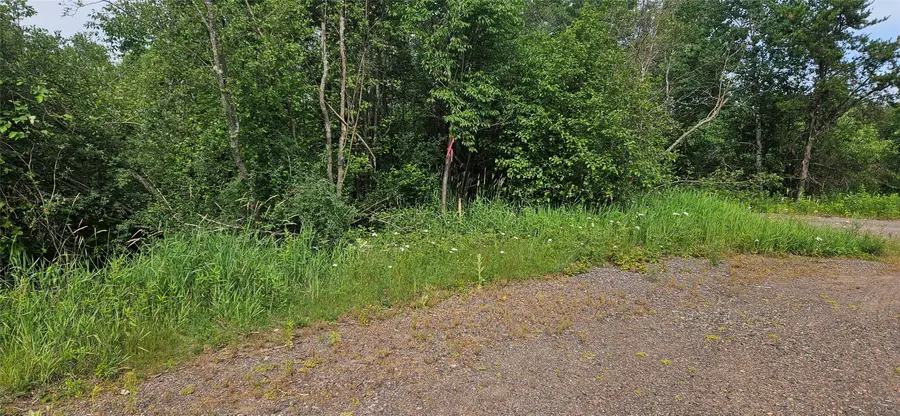 Lot A Windrose Lane, Hayward, WI 54843 - #3