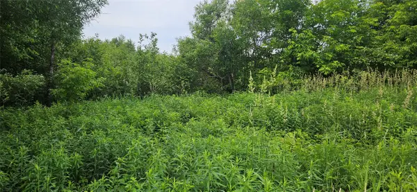 Lot C Windrose Lane, Hayward, WI 54843