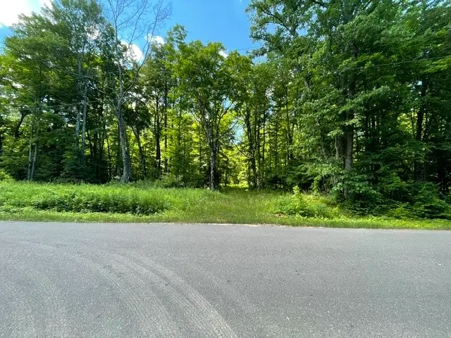 0 Dam Road, Ojibwa, WI 54896 - #1