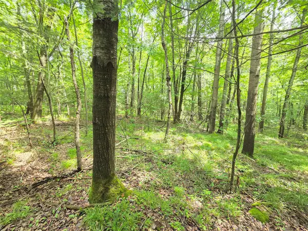 On Woodland Lane, Phillips, WI 54555