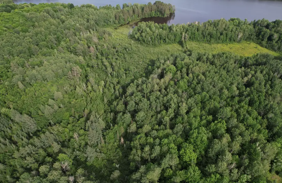 On Woodland Lane, Phillips, WI 54555 - #3