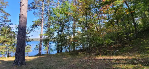 12029 Lot 1 E County Road Y, Gordon, WI 54838