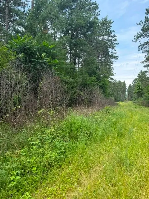 0 West Road, Black River Falls, WI 54615 - #1