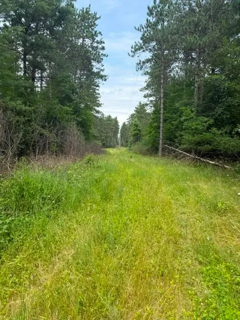 0 West Road, Black River Falls, WI 54615 - #3