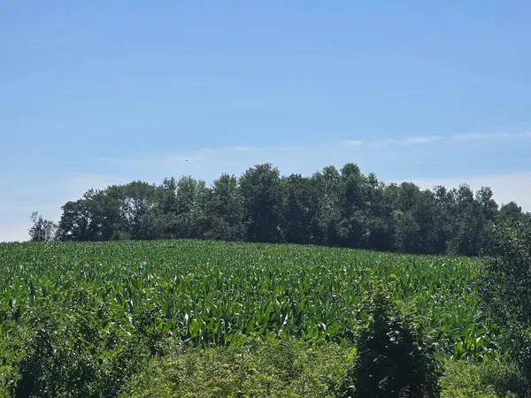 00 110th Street, Frederic, WI 54837