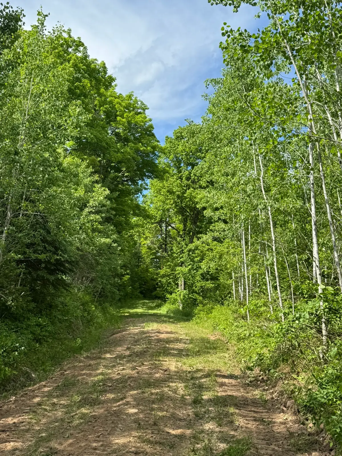 75134 West Road, Butternut, WI 54514 - #1