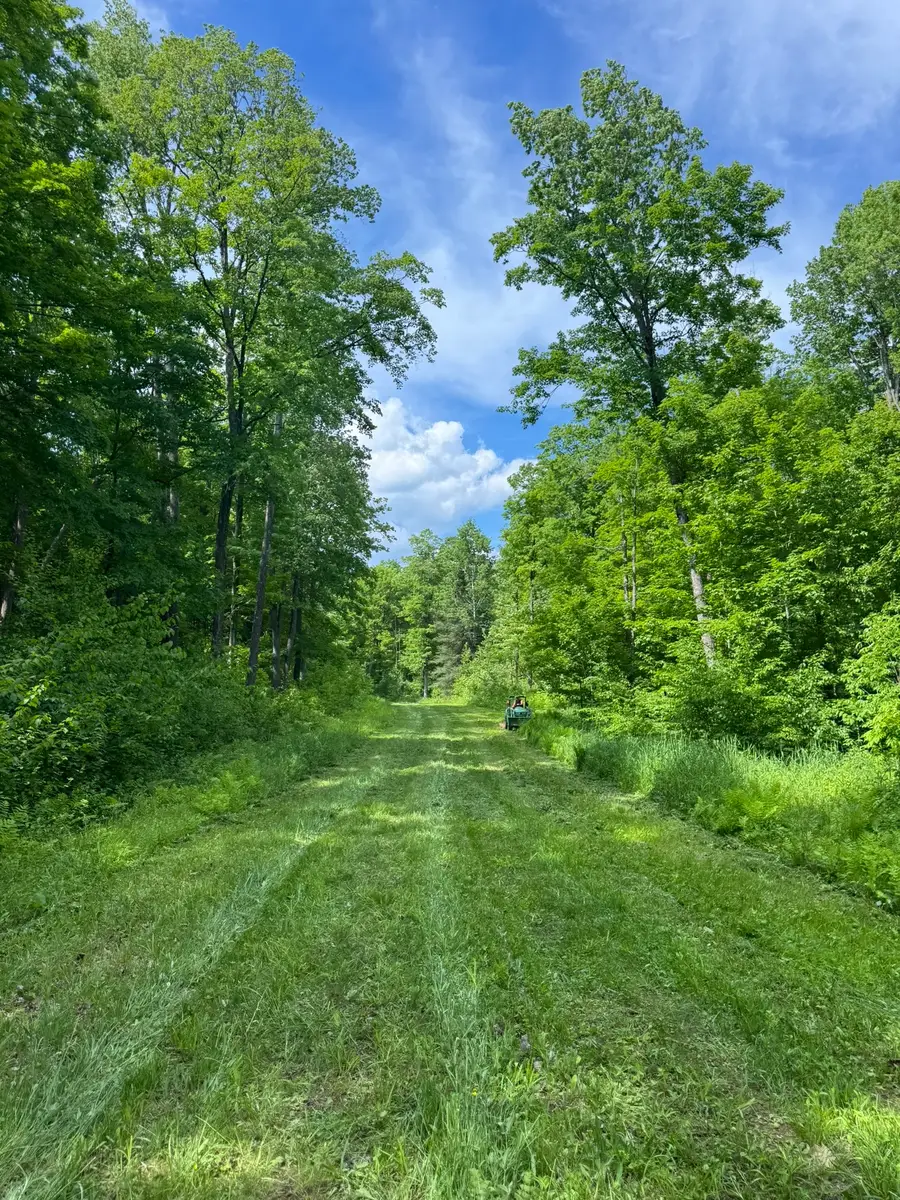 75134 West Road, Butternut, WI 54514 - #3