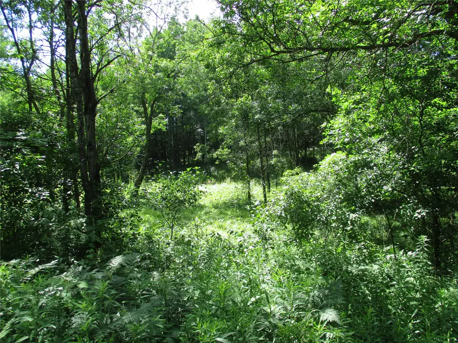 Lots #16 & #17 Eden Avenue, Birchwood, WI 54817 - #3