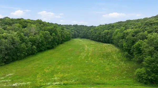 40 Acres County Road S, Wheeler, WI 54772
