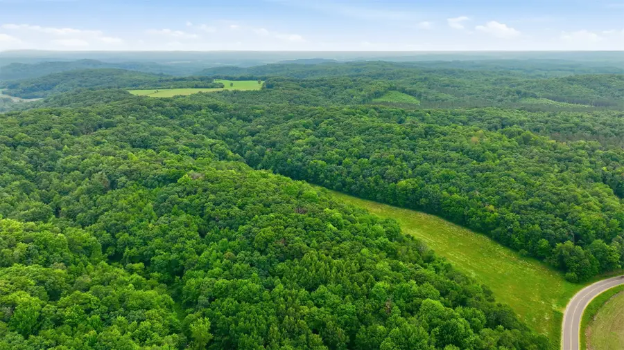 40 Acres County Road S, Wheeler, WI 54772 - #3