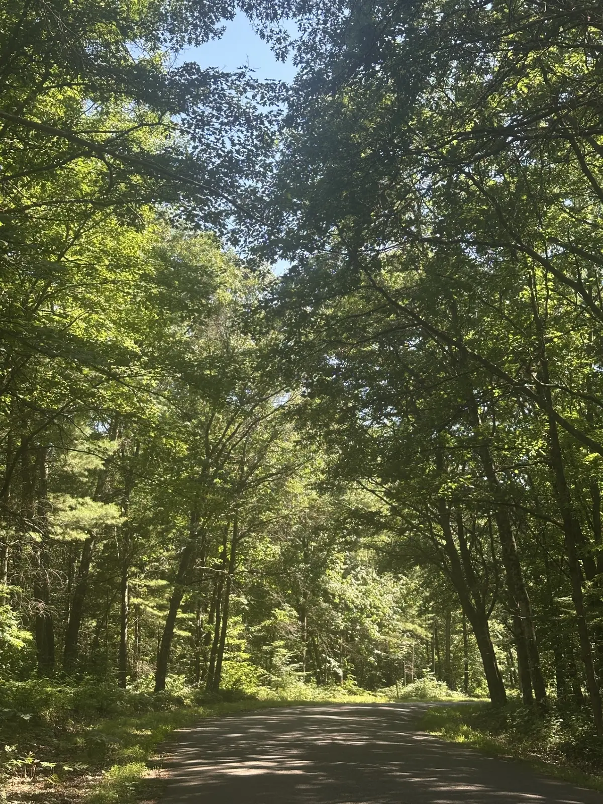 Lot 1 271st Street, Holcombe, WI 54745 - #1