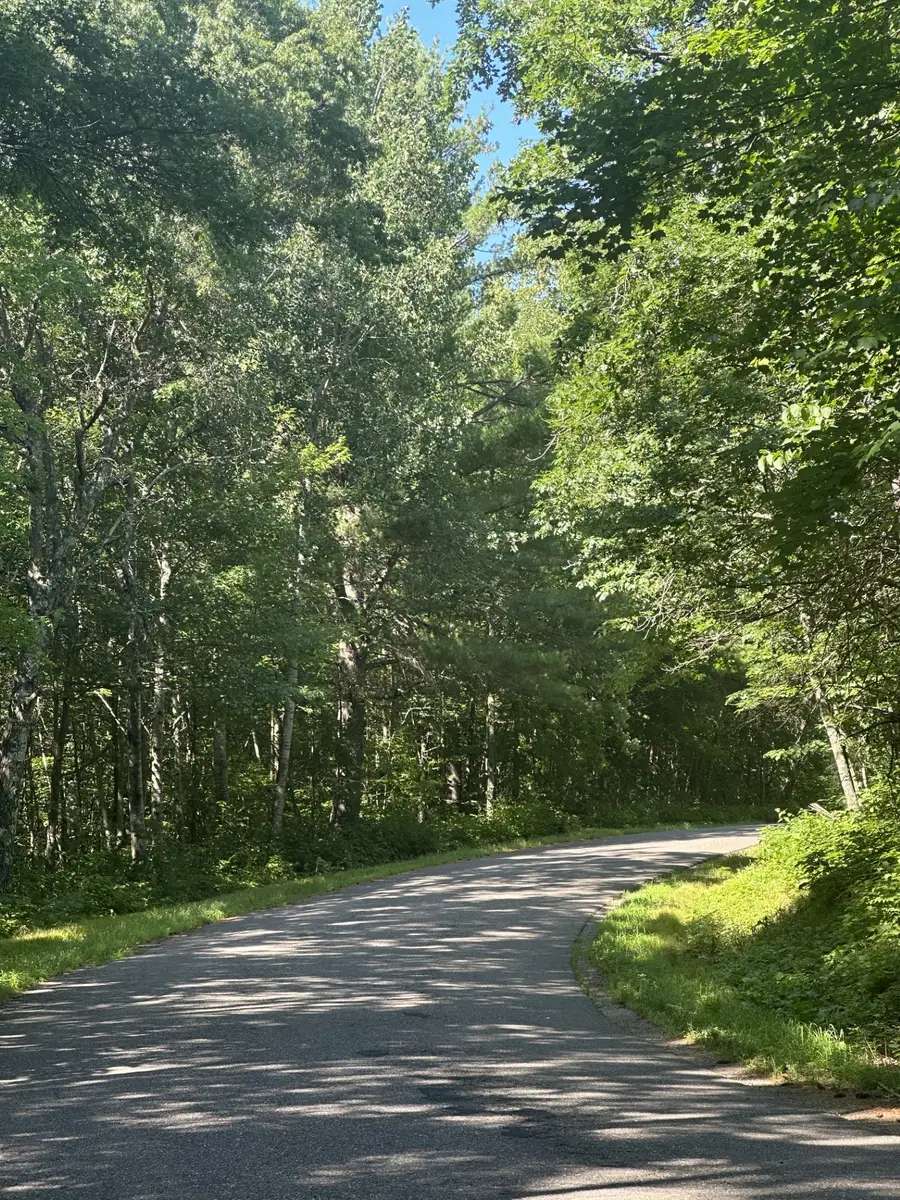 Lot 2 271st Street, Holcombe, WI 54745 - #2