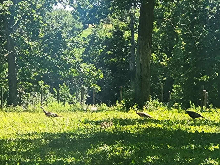 Lot 28 21st Street, Rice Lake, WI 54868 - #3